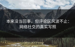 本来没当回事，但评论区风波不止：网络社交的真实写照
