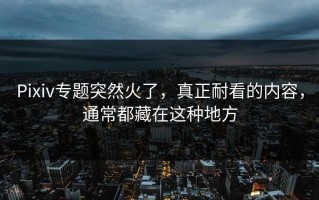Pixiv专题突然火了，真正耐看的内容，通常都藏在这种地方