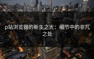 p站浏览器的新生之光：细节中的非凡之处