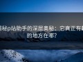 揭秘p站助手的深层奥秘：它真正有趣的地方在哪？
