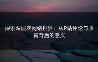 探索深层次网络世界：从P站评论与收藏背后的意义